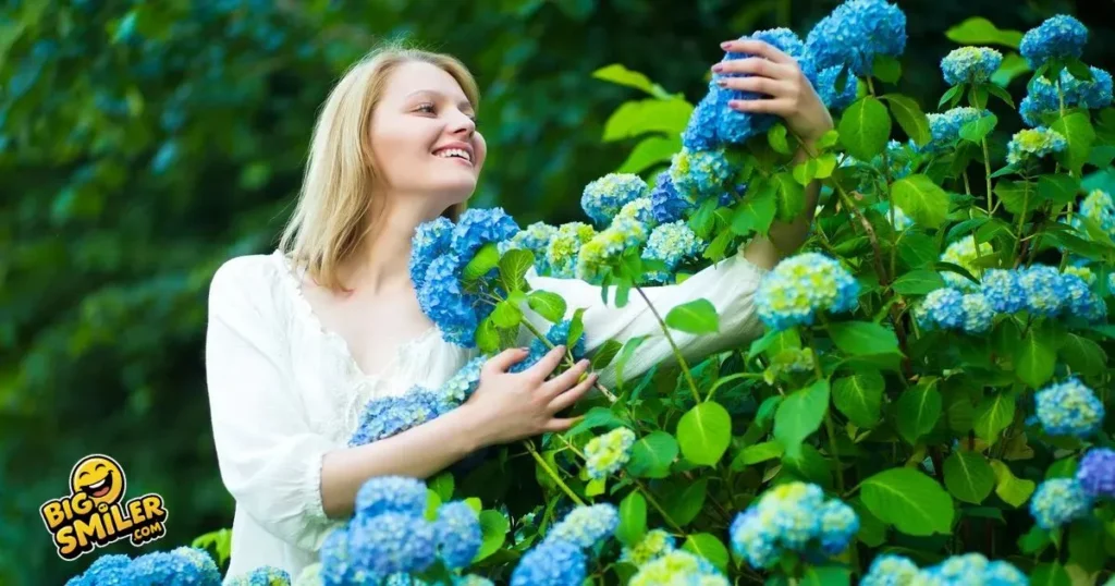 Bloom Bright with These Flower