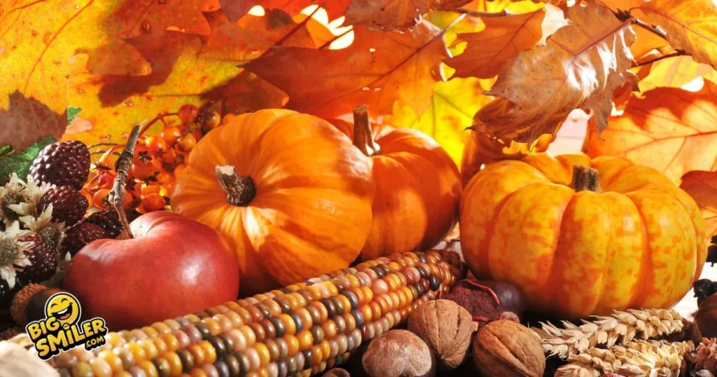 Best Thanksgiving Jokes