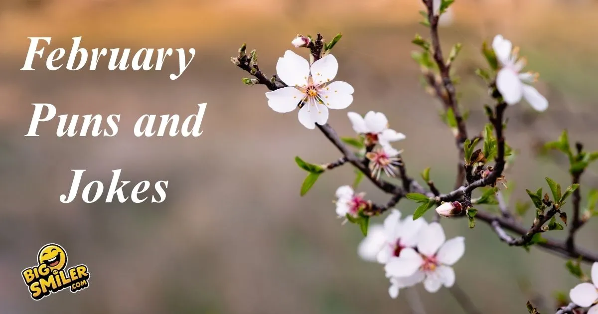 February Puns and Jokes