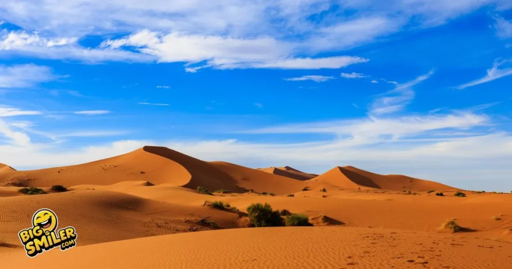 Hilarious Sahara Desert Puns