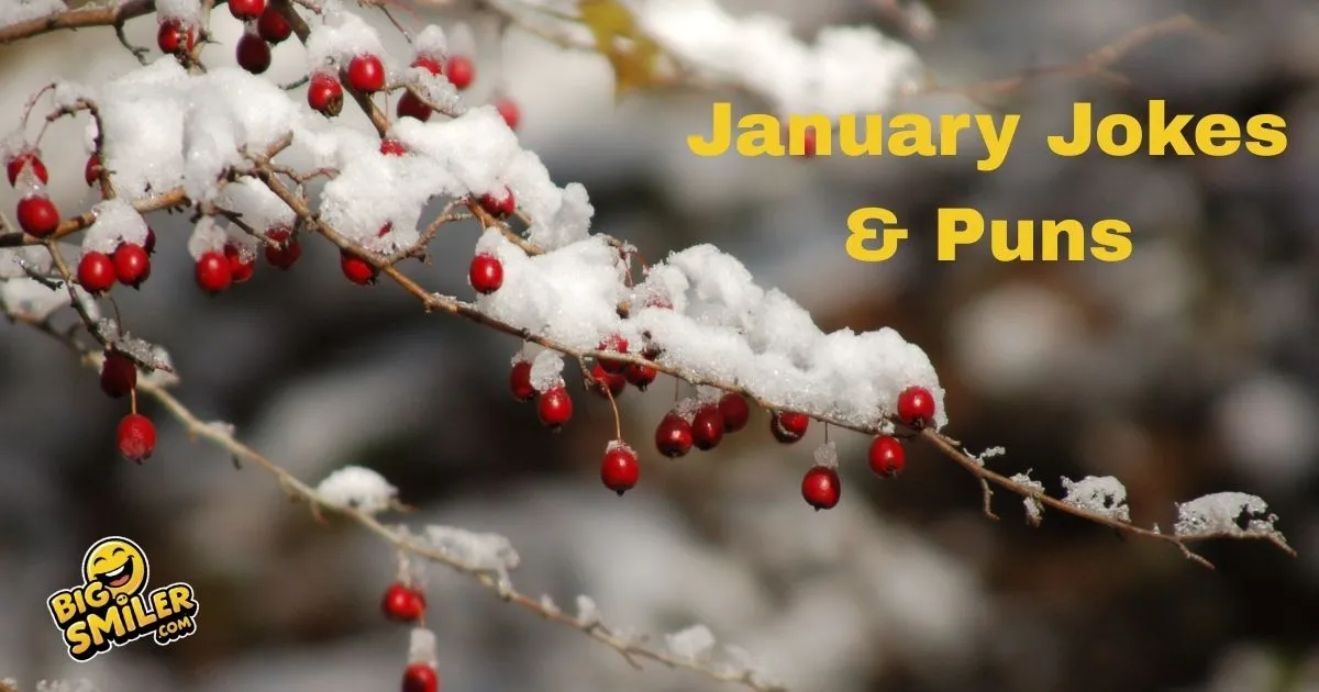 January Jokes & Puns