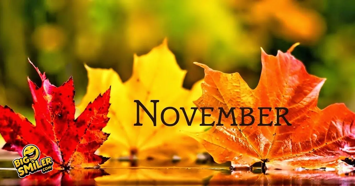 November Puns and Jokes