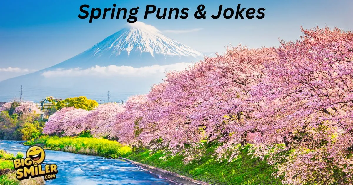 Spring Puns & Jokes